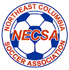 (NECSA Logo)